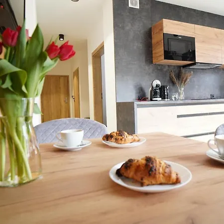 Beskidzka9 & Free Sauna Appartamento Szczyrk