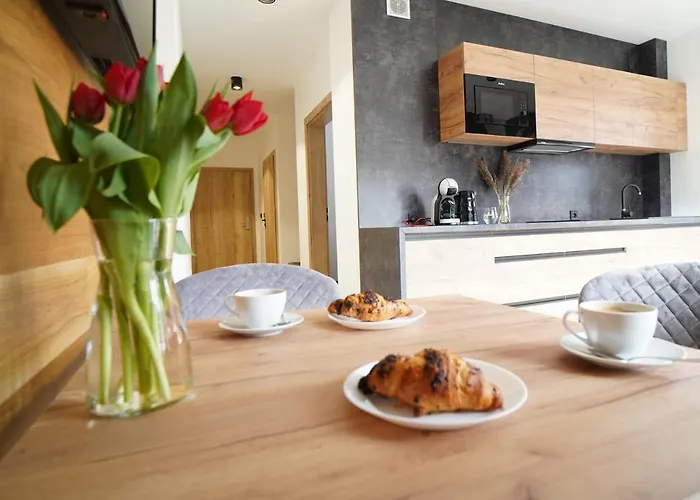 Beskidzka9 & Free Sauna דירה שצ'צ'ירק